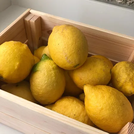 Sobreiro Valley - Casa Isabel * 维埃拉·多米尼奥