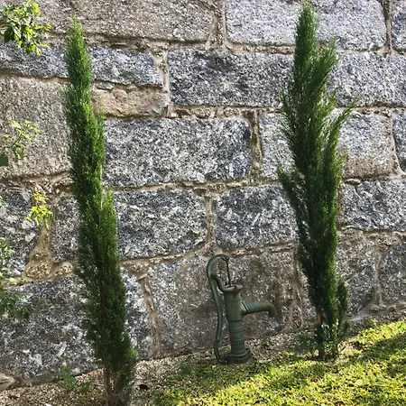 Sobreiro Valley - Casa Isabel 假日公园 维埃拉·多米尼奥