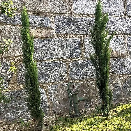 Sobreiro Valley - Casa Isabel