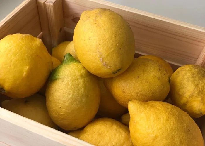 Sobreiro Valley - Casa Isabel * Vieira do Minho